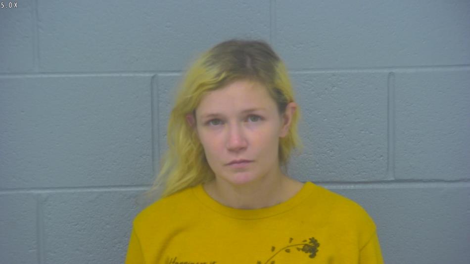 Arrest photo of HEATHER ROCK