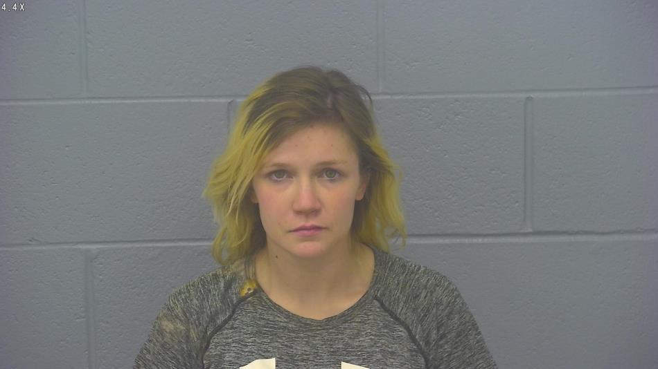 Arrest photo of HEATHER ROCK