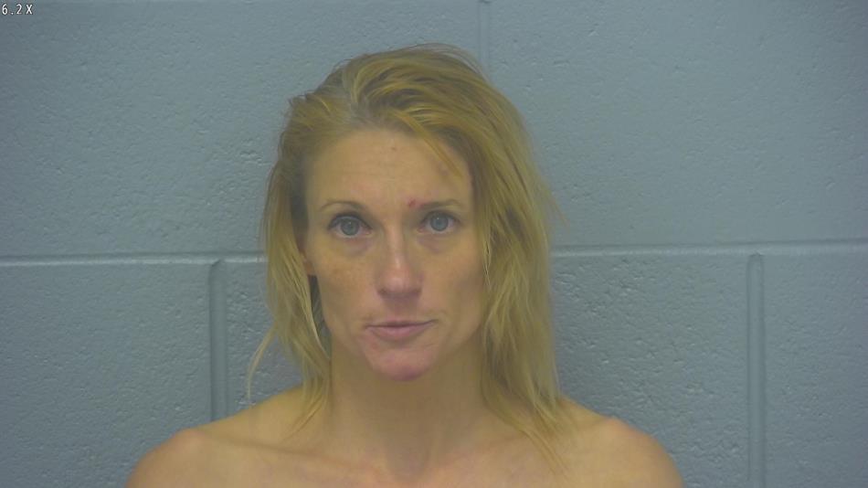 Arrest photo of HEATHER COLE