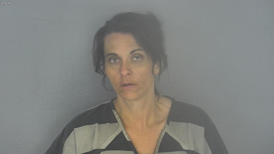 Arrest photo of HEATHER JONES