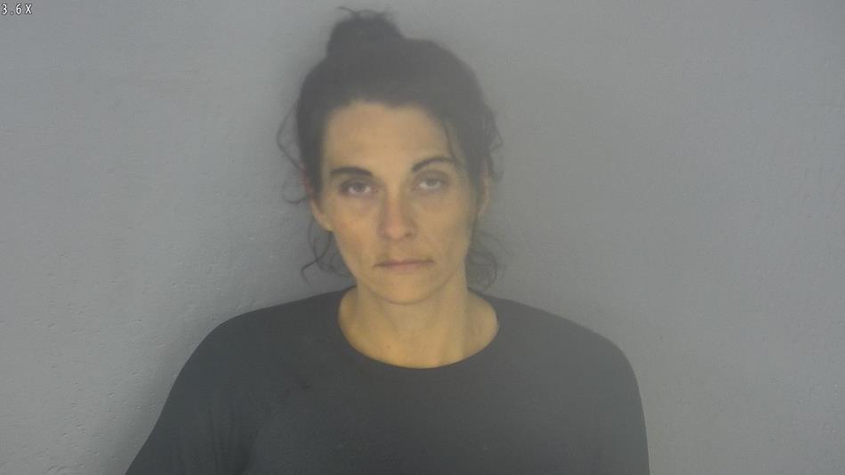Arrest photo of HEATHER JONES