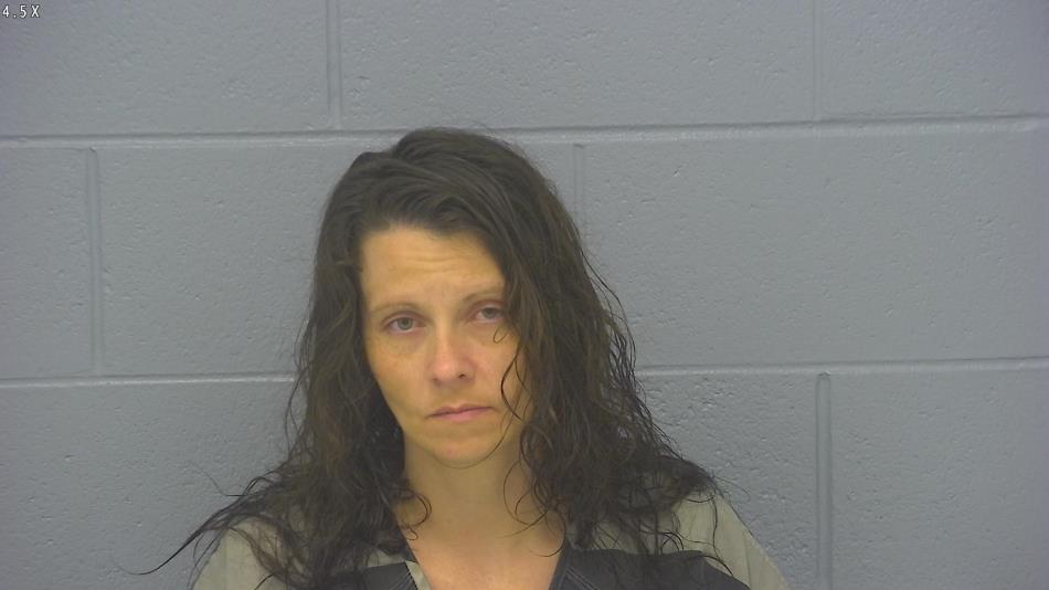 Arrest photo of HEATHER JONES