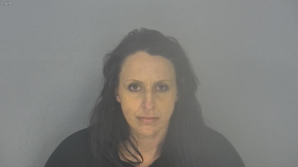 Arrest photo of HEATHER LONG