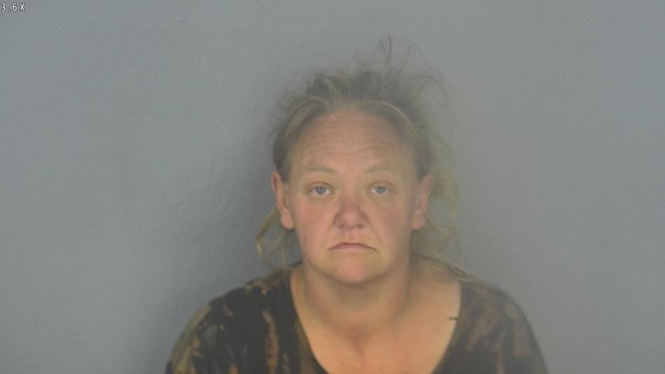 Arrest photo of HEATHER HASKINS