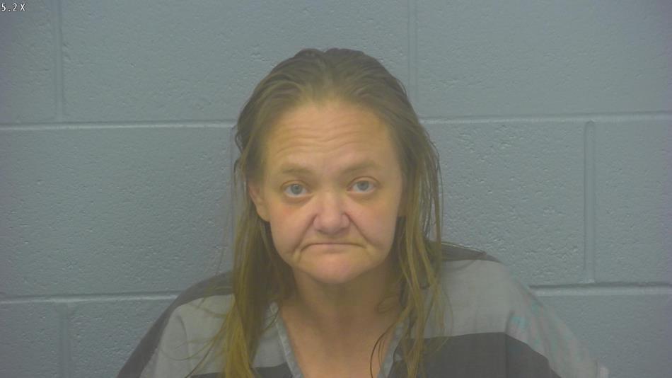 Arrest photo of HEATHER HASKINS