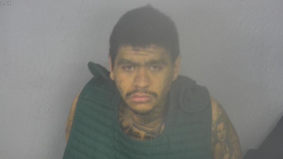 Arrest photo of HECTOR GOMEZ