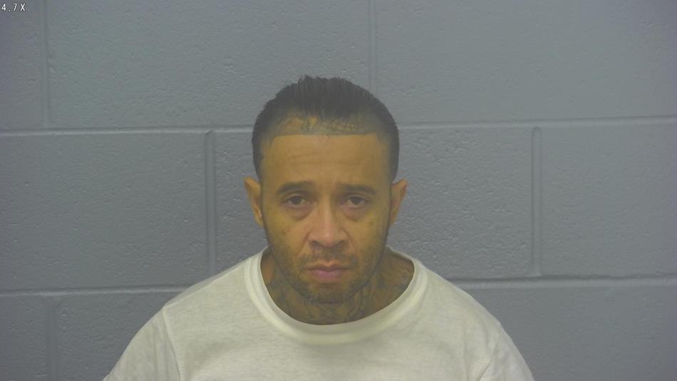 Arrest photo of HECTOR MEJIA-ESTRADA