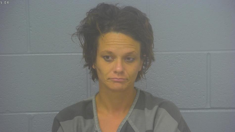 Arrest photo of HEIDI PREASMEYER