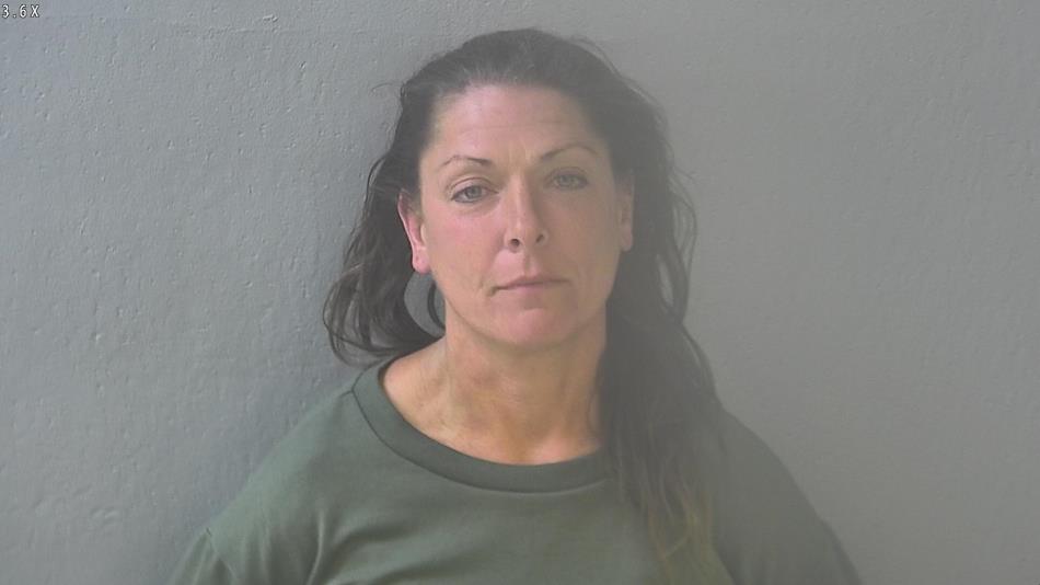 Arrest photo of HEIDI HARDER