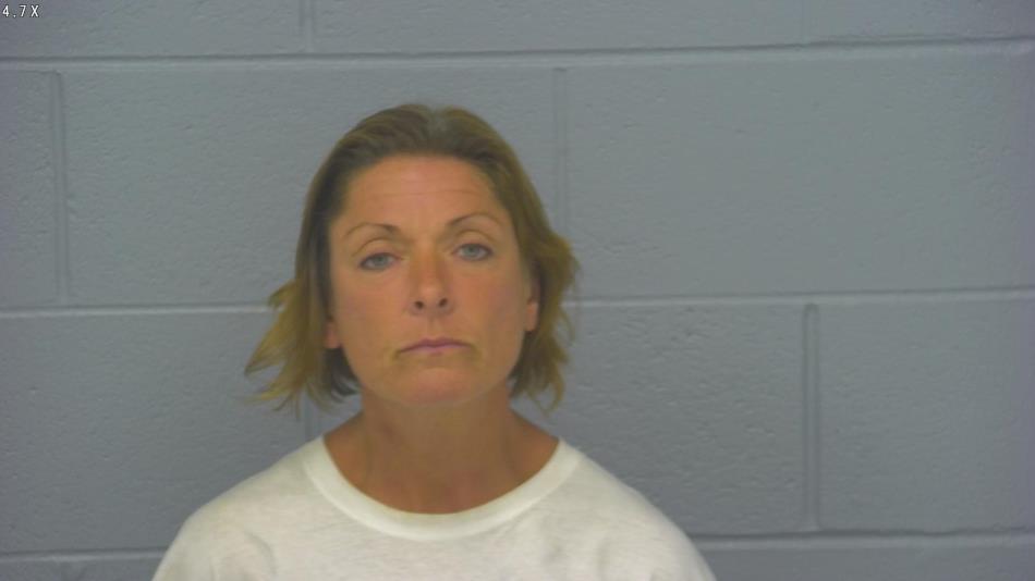 Arrest photo of HEIDI KLEIN