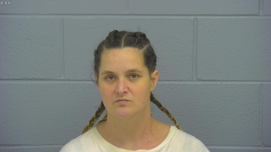 Arrest photo of HEIDI FERRELL