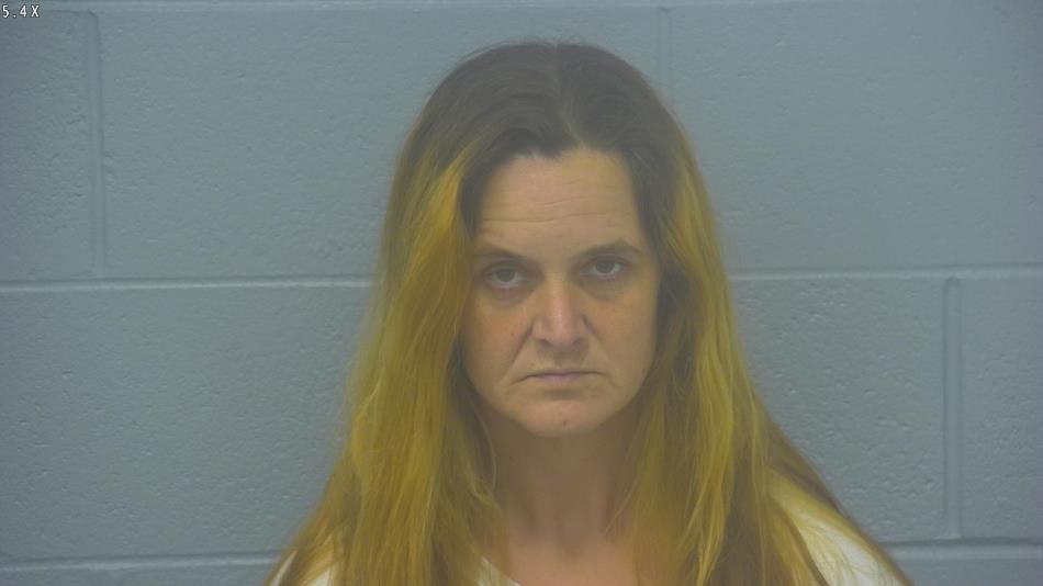 Arrest photo of HEIDI FERRELL