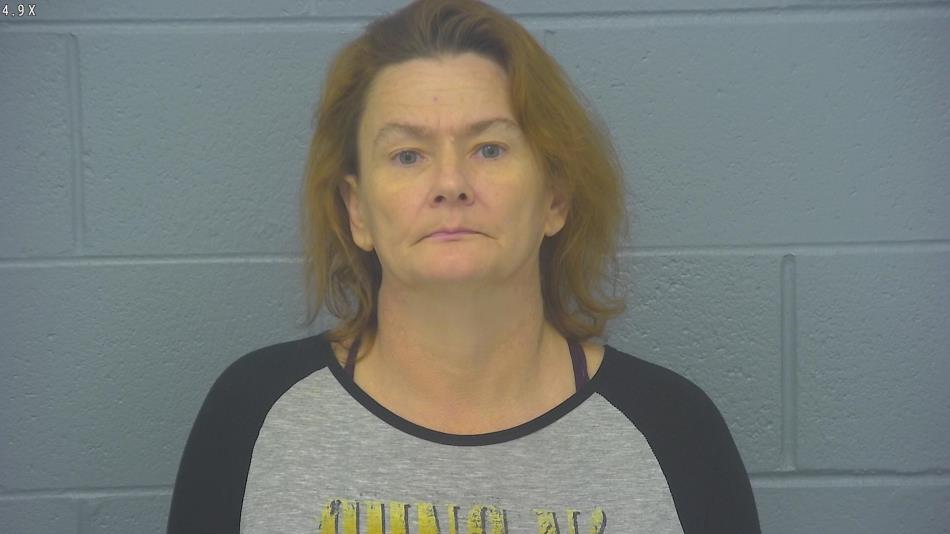 Arrest photo of HEIDY STARR