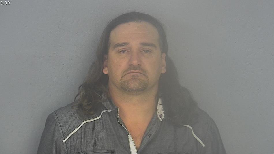 Arrest photo of HENRY MEZZACAPA