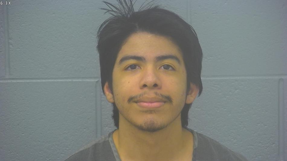 Arrest photo of HENRY ARAICA-GONZALEZ