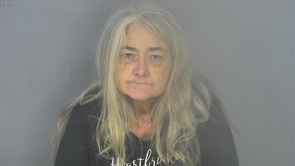 Arrest photo of HOLI HOUSE