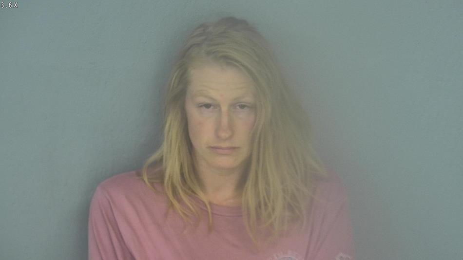 Arrest photo of HOLLY BENSON