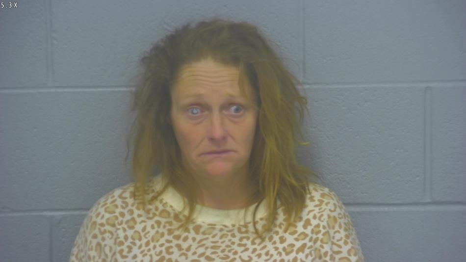 Arrest photo of HOLLY LOVELAND