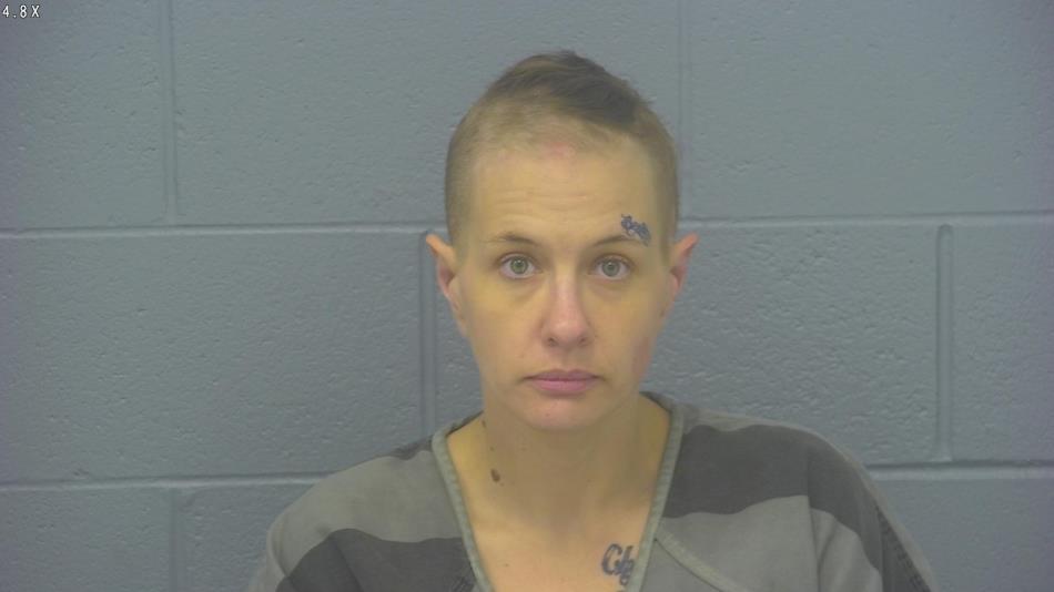 Arrest photo of HOLLY OLLIS