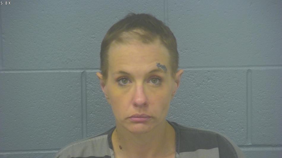 Arrest photo of HOLLY OLLIS