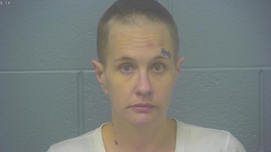 Arrest Photo of HOLLY OLLIS, arrested on 7/24/2024