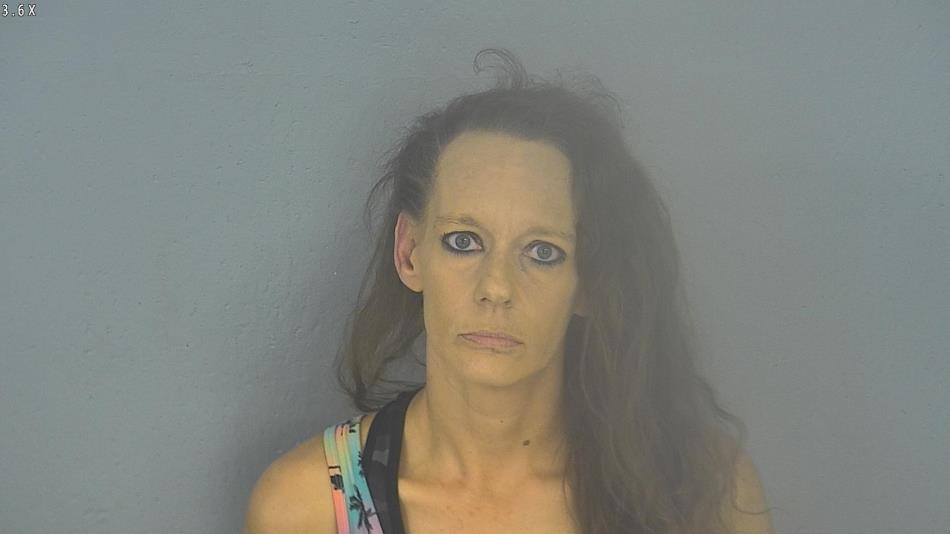 Arrest photo of HOLLY WELSFORD