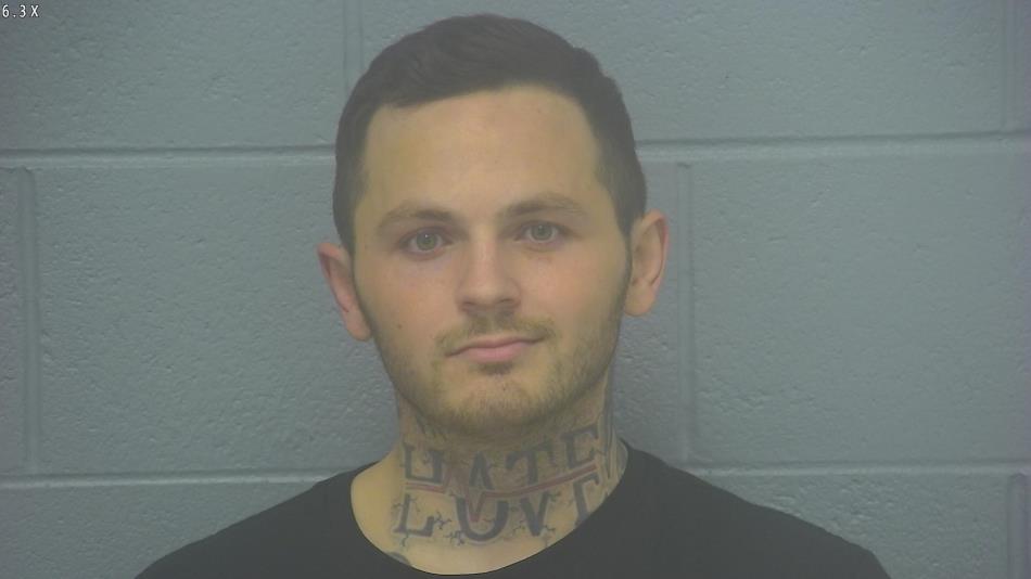 Arrest photo of HONZ LADD