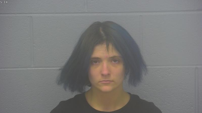 Arrest photo of HORIZON HYDE