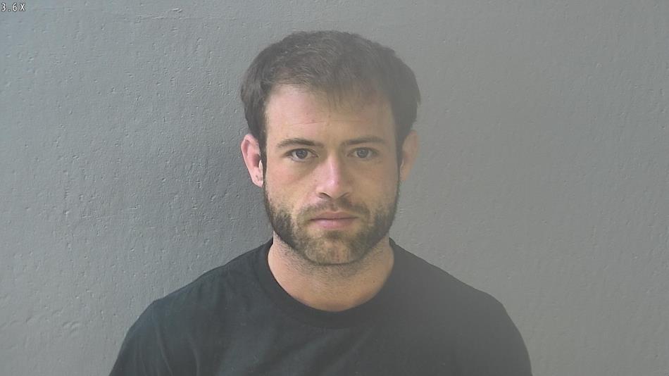 Arrest photo of HOUSTON CHAPIN