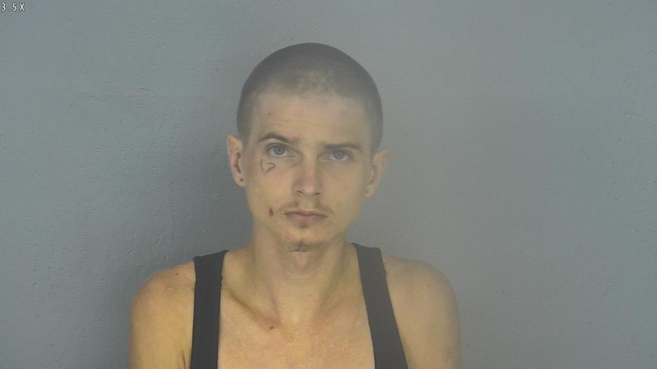 Arrest photo of HUNTER BOWMAN