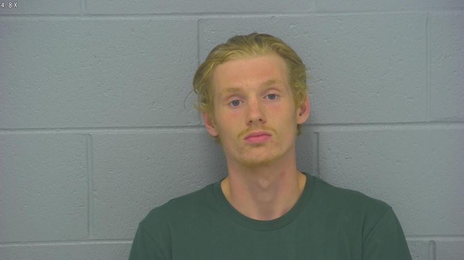 Arrest photo of IAN VAUGHAN-LUKE