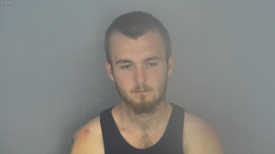 Arrest photo of IAN TINDLE