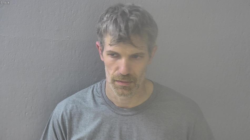 Arrest photo of IAN SUMMERS