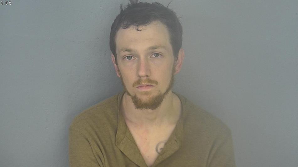 Arrest photo of JACOB VEITSCHEGGER