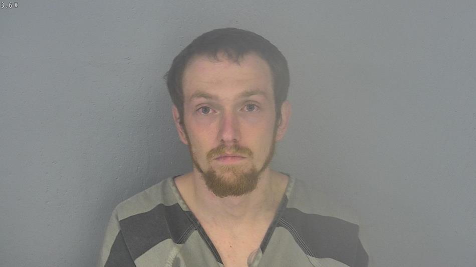 Arrest photo of JACOB VEITSCHEGGER