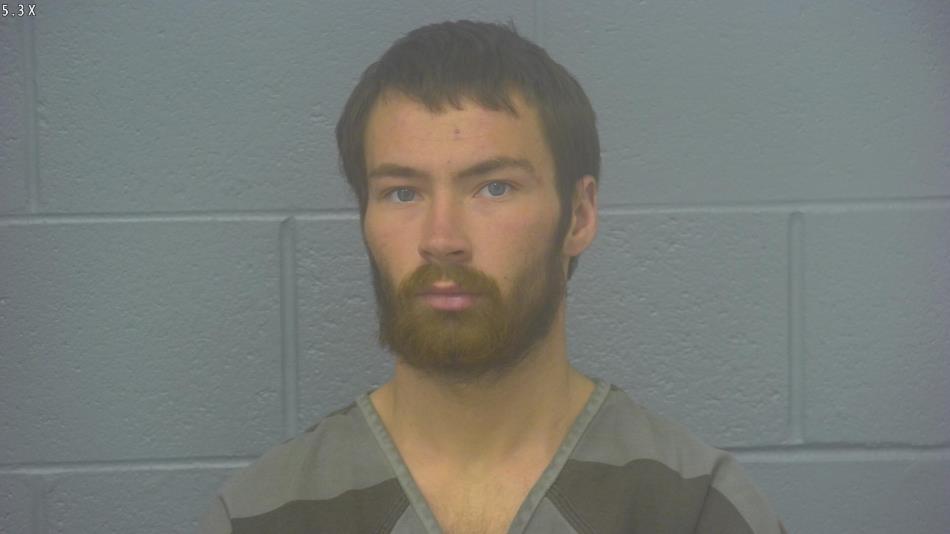 Arrest photo of JACOB ADAMSON