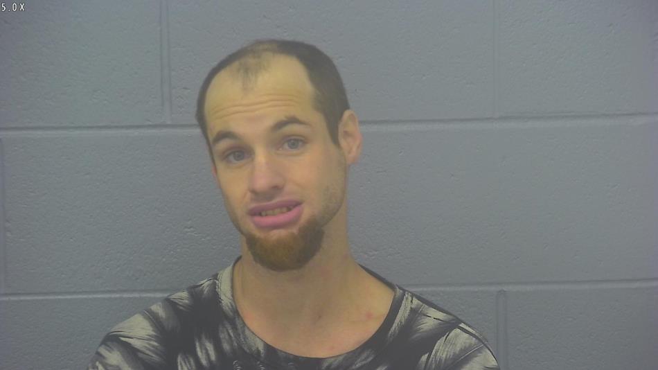 Arrest photo of JAKE HARDING