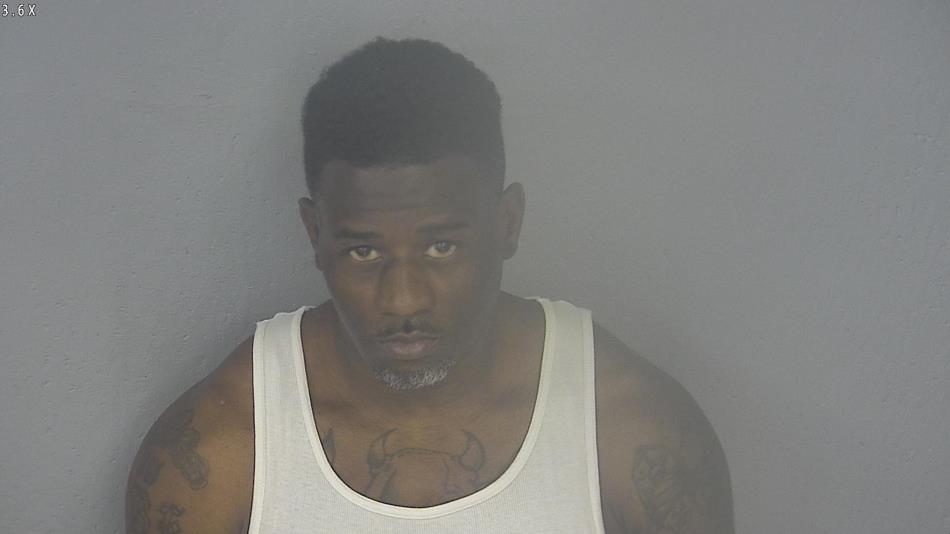 Arrest photo of JAMES WILLIAMS