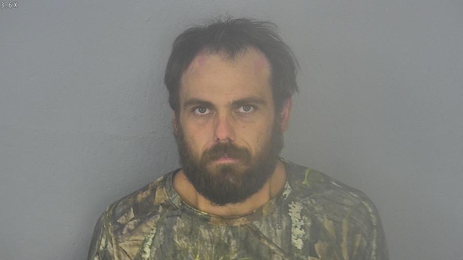 Arrest photo of JAMES STANTON