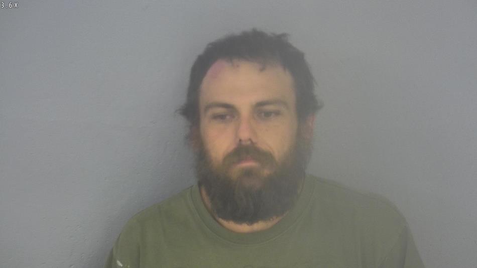 Arrest photo of JAMES STANTON