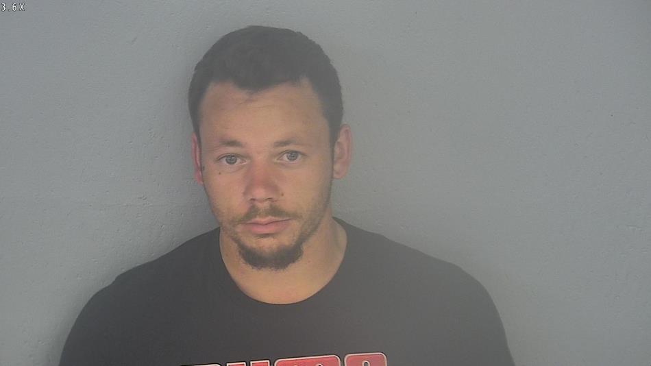 Arrest photo of JAMES LEWIS