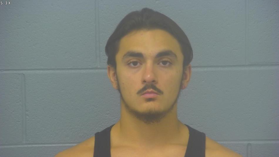 Arrest photo of JAMES GENEL