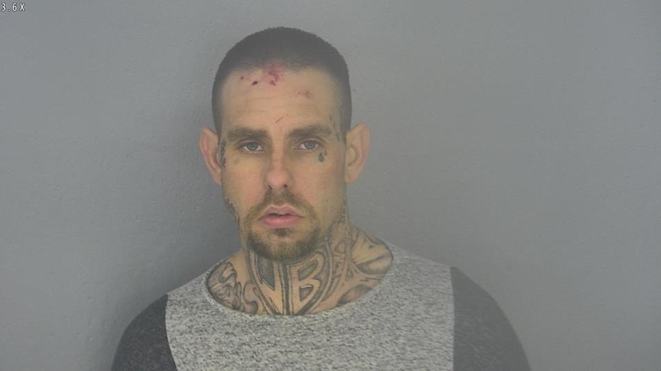 Arrest photo of JAMES BURCHAM