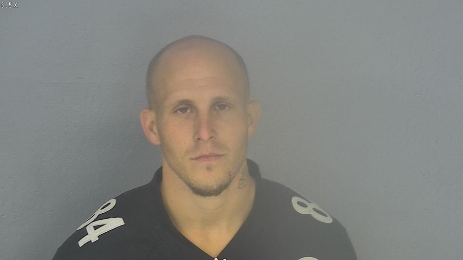 Arrest photo of JAMES FARRELL