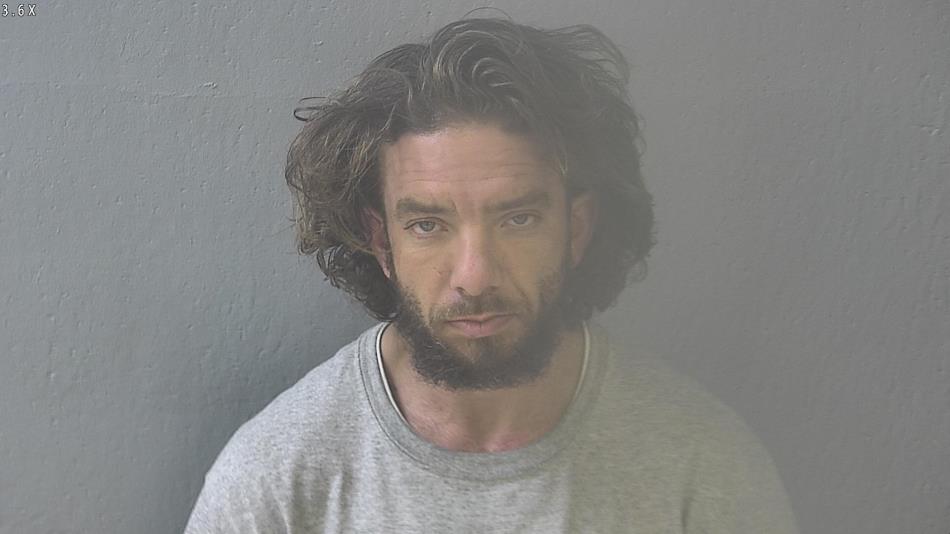 Arrest photo of JAMES GILLIGAN