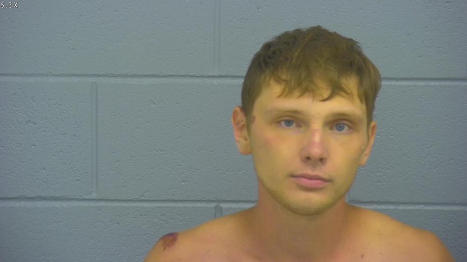 Arrest photo of JAMES STARK