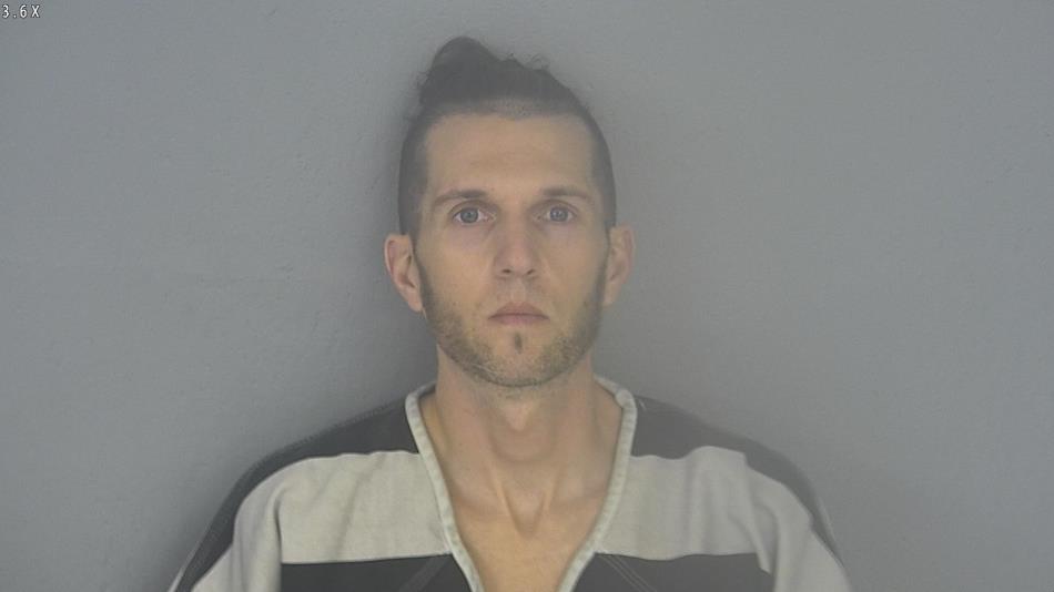Arrest photo of JAMESON HEINZ