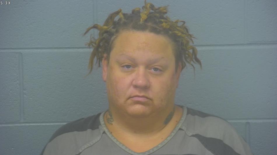 Arrest photo of JAMI MALONE