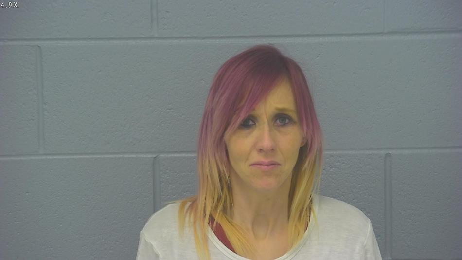 Arrest photo of JAMI PARSONS