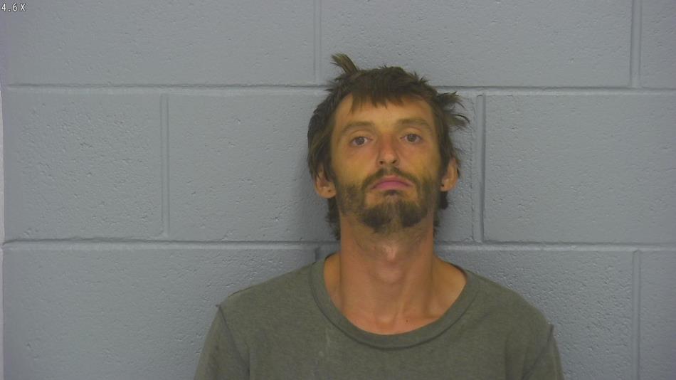 Arrest photo of JAMIE PEPPEL